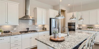 1001 Brocade Drive, Highlands Ranch