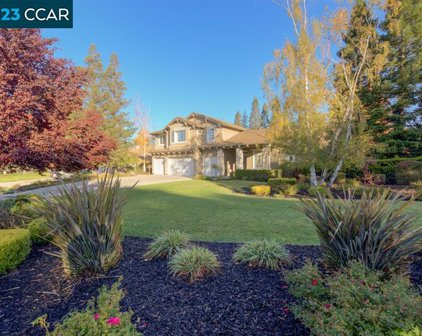 601 Young Ct, Alamo
