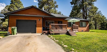 60 W Radiant, Pagosa Springs
