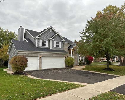 5340 Sand Lily Drive, Naperville
