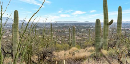 10632 N Gibbon Canyon Unit #-, Tucson