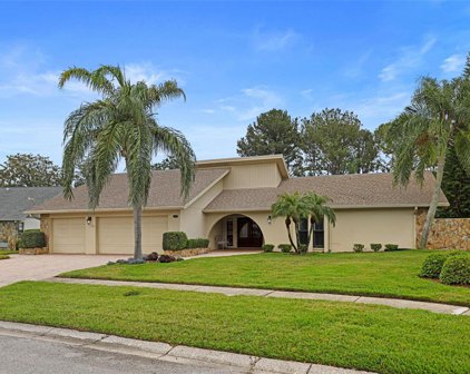 3119 Hyde Park Drive, Clearwater