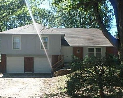 605 Lillian Lane, Raymore