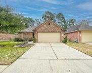 30534 Woodson Trace Drive, Spring image
