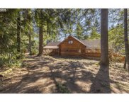 62221 CONIBEAR RD, St. Helens image