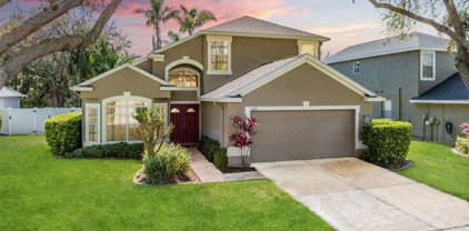 1163 Jessica Court, Dunedin