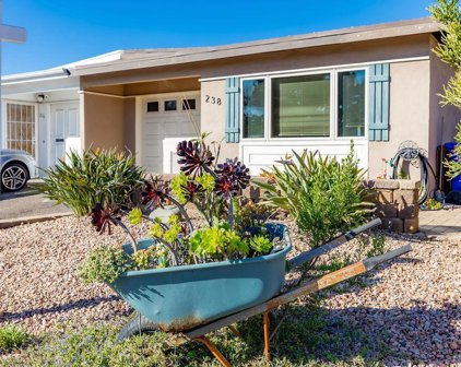 238 Gloxina Street, Encinitas