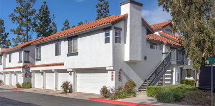 41 Celosia, Rancho Santa Margarita