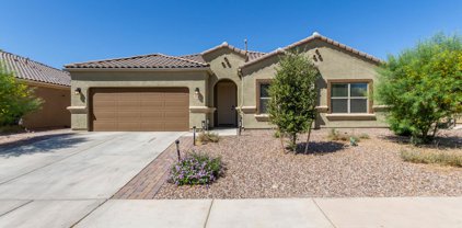 10023 N Cardon Grande, Marana