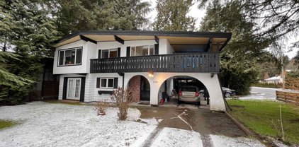 3691 Coast Meridian Road, Port Coquitlam