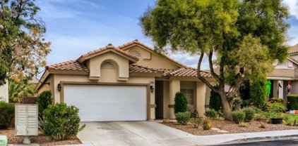 2458 Silver Blossom Lane, Henderson