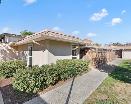 1671 Alvarado Ave Unit #6, Walnut Creek