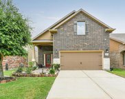 10111 Texas Sage Drive, Houston image