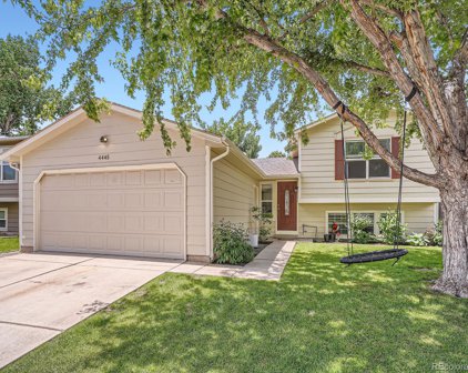 4445 Genoa Street, Denver