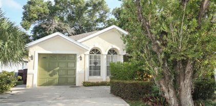 6937 Long Needle Court, Orlando