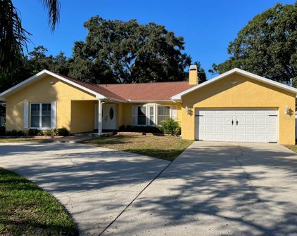 438 Lafayette Boulevard, Oldsmar