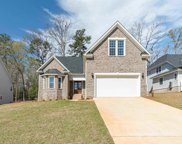 155 Edgewood Drive, Chapin image