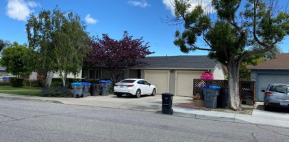 2486 Whitney DR, Mountain View
