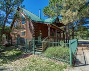 130 Zorro Lane, Alto image