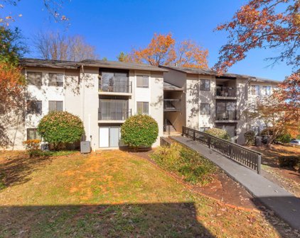 46 Spring Ct, Charlottesville