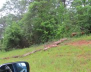 511 Sweetwater Drive, Cataula image