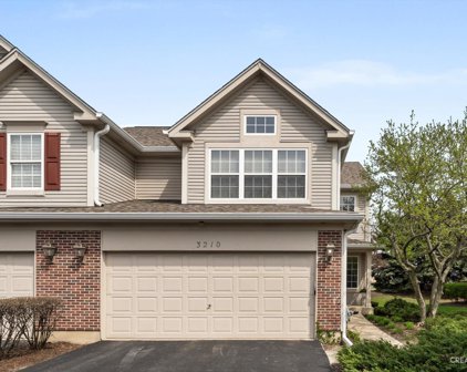 3210 Cool Springs Court, Naperville