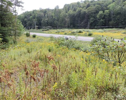 Land Vacant Nys Route 219 N, Ellicottville-043689