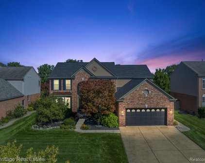 34642 GIANNETTI, Sterling Heights