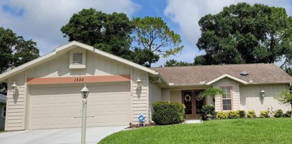 1330 Gillespie Drive N, Palm Harbor