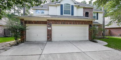 87 E Evangeline Oaks Circle, The Woodlands