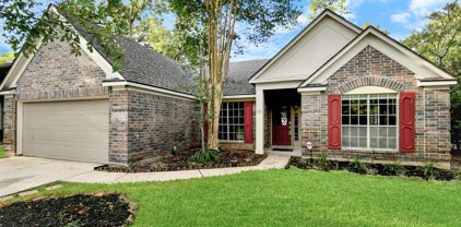 107 S Village Knoll Circle, The Woodlands
