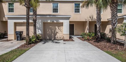 9806 Hound Chase Drive, Gibsonton