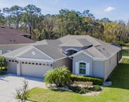 27190 Hawks Nest Circle, Wesley Chapel image