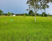 32519 Gadwall Street, Brookshire image