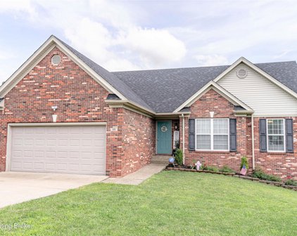 99 North Country Dr, Shelbyville