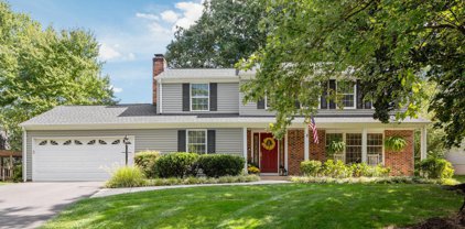 12256 Angel Wing Ct, Reston