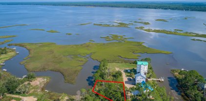 16 George Vause Rd, Alligator Point