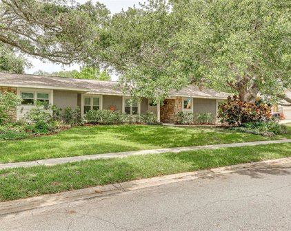 821 Spanish Oaks Boulevard, Palm Harbor