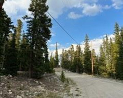991 Bobcat Lane, Fairplay
