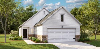 1239 Darling Street, Summerville