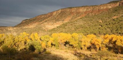 Kolob Ter Rd, Virgin