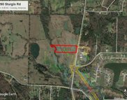 260 Sturgis, Conway image