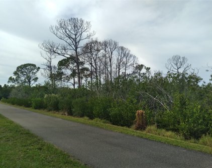 Magnolia Avenue, Palm Harbor