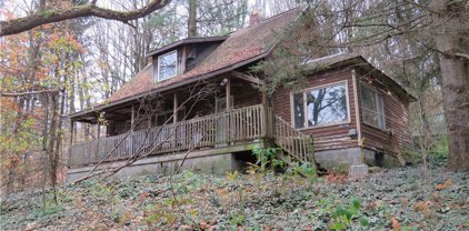 8176 Irish Road, Colden