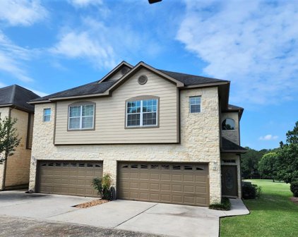 16020 Fountainview Drive Unit 19, Montgomery