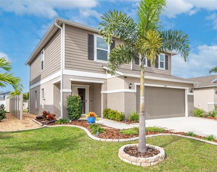 11207 Southern Cross Place, Gibsonton