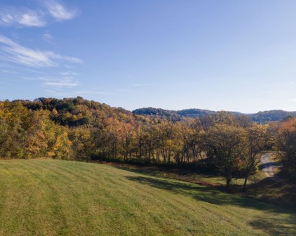 3115 Southall Ln, Franklin