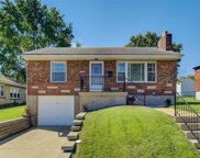 720 Alleghany  Drive, St Louis image