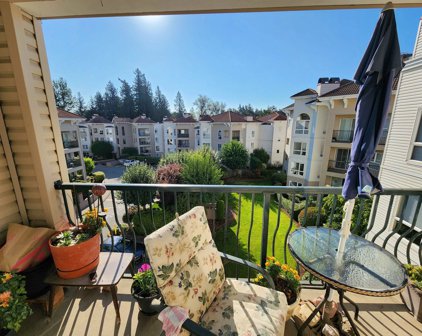 3172 Gladwin Road Unit 408, Abbotsford