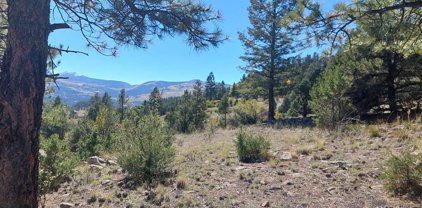 1685 Bear Creek Cir, South Fork